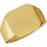 14K Yellow 15 mm Octagon Signet Ring photo